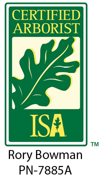 ISA Certified Arborist® Rory Bowman, PN-7885A